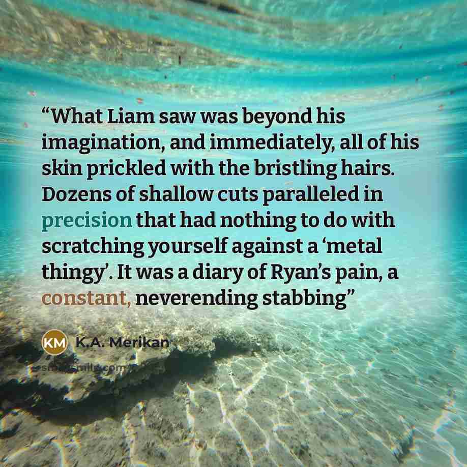 “What Liam saw was beyond his imagination, and immediately, all of his skin prickled with the bristling hairs. Dozens of shallow cuts paralleled in precision that had nothing to do with scratching yourself against a ‘metal thingy’. It was a diary of Ryan’s pain, a constant, neverending stabbing” quote by K.A. Merikan