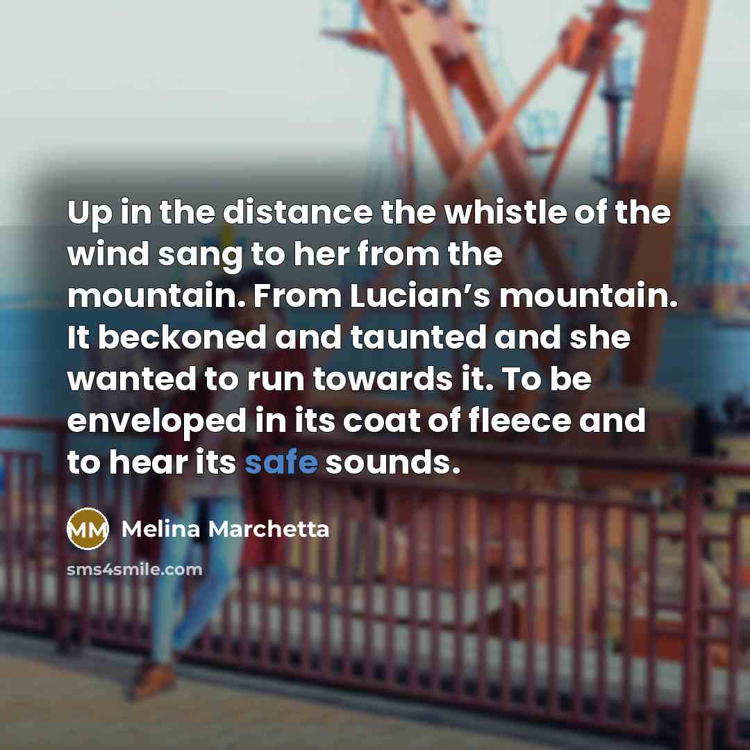 “Up in the distance the whistle of the wind sang…” quote by Melina Marchetta