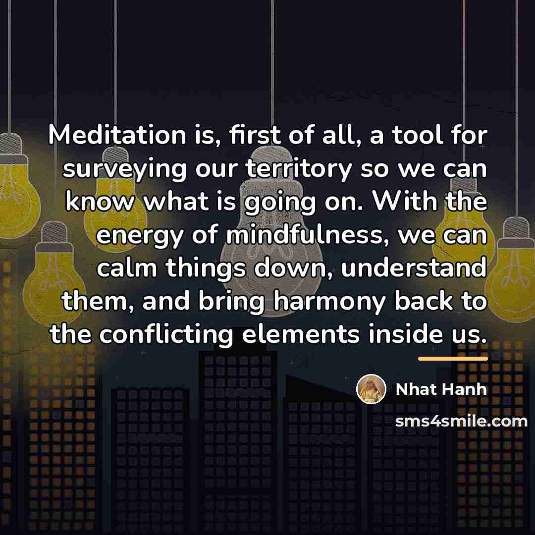 “Meditation is, first of all, a tool for surveying our…” quote by Nhat Hanh