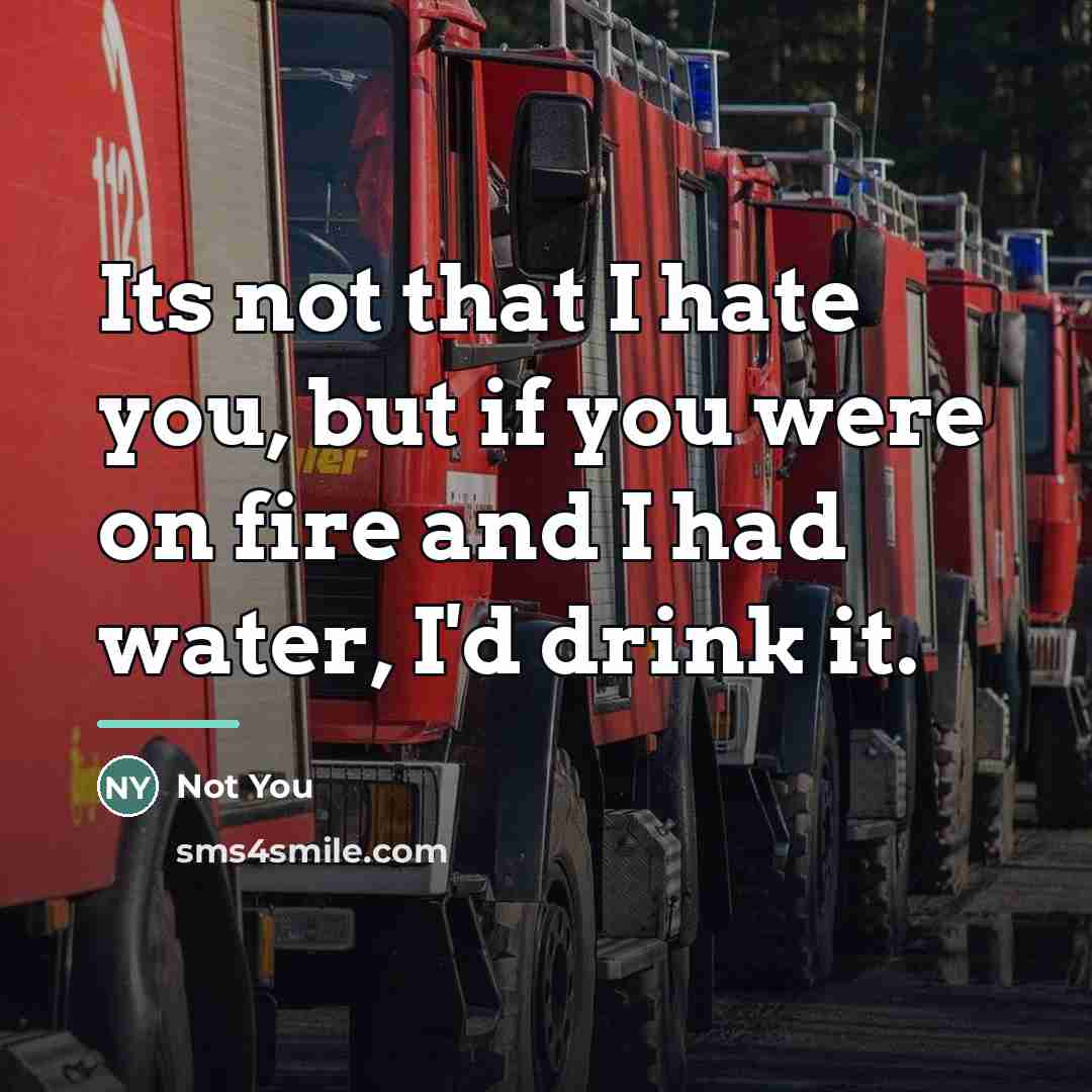 “Its not that I hate you, but if you were…” quote by Not You