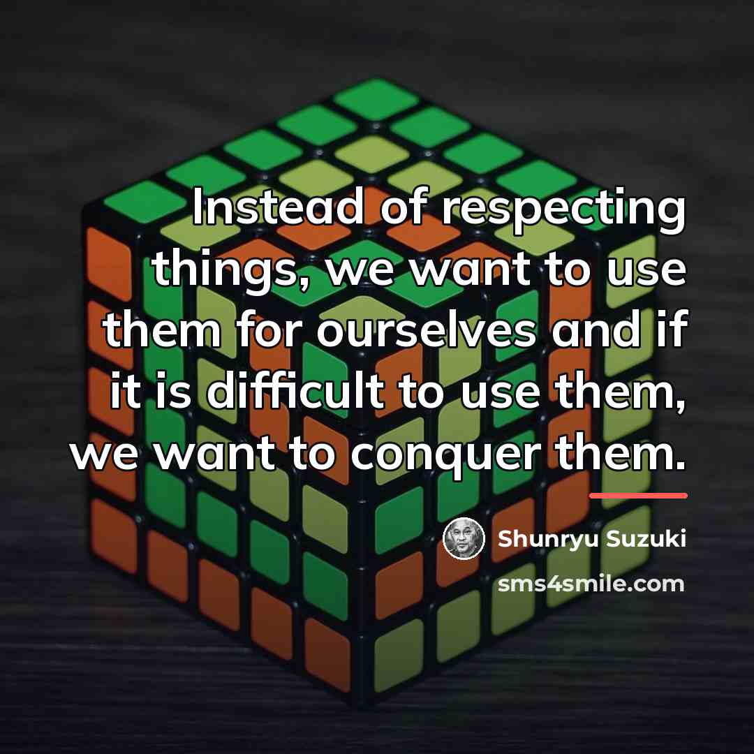 “Instead of respecting things, we want to use them for…” quote by Shunryu Suzuki