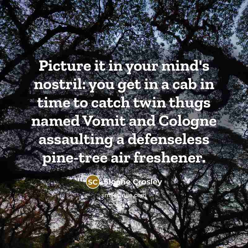 “Picture it in your mind's nostril: you get in a…” quote by Sloane Crosley