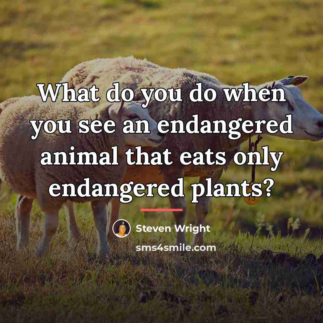 “What do you do when you see an endangered animal…” quote by Steven Wright