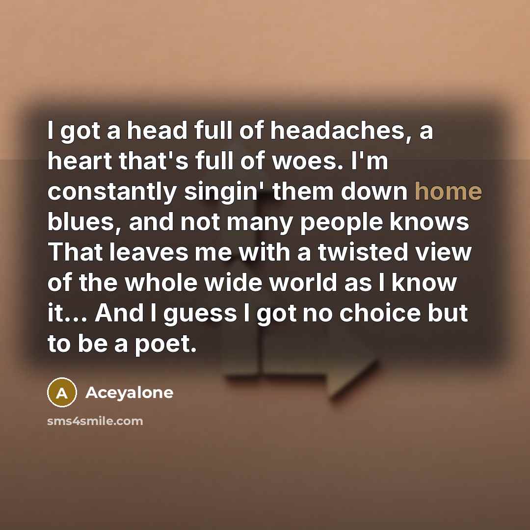 “I got a head full of headaches, a heart that's…” quote by Aceyalone