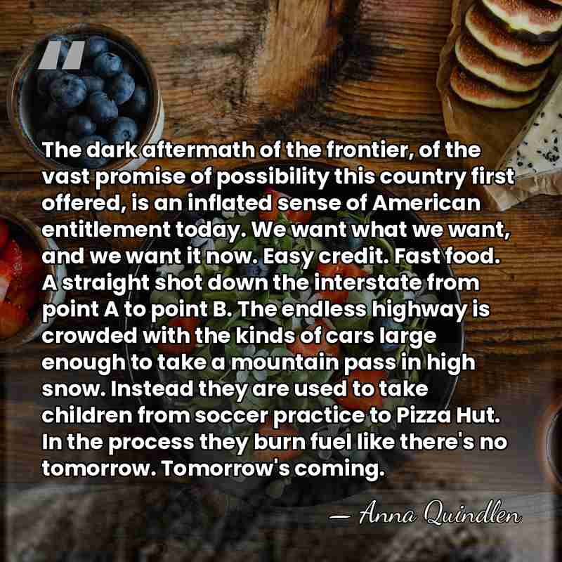 The dark aftermath of the frontier, of the vast promise of possibility&hellip; - Anna Quindlen