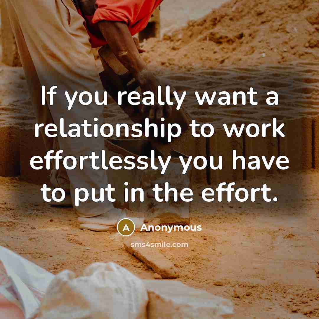 “If you really want a relationship to work effortlessly you…” quote by Anonymous