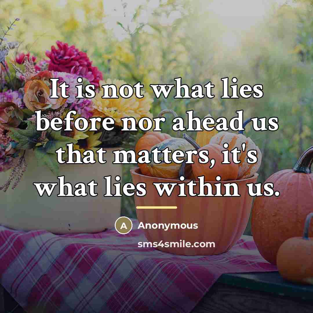 “It is not what lies before nor ahead us that…” quote by Anonymous