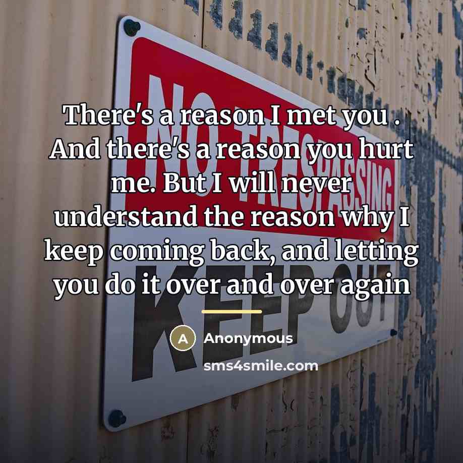 “There's a reason I met you . And there's a…” quote by Anonymous