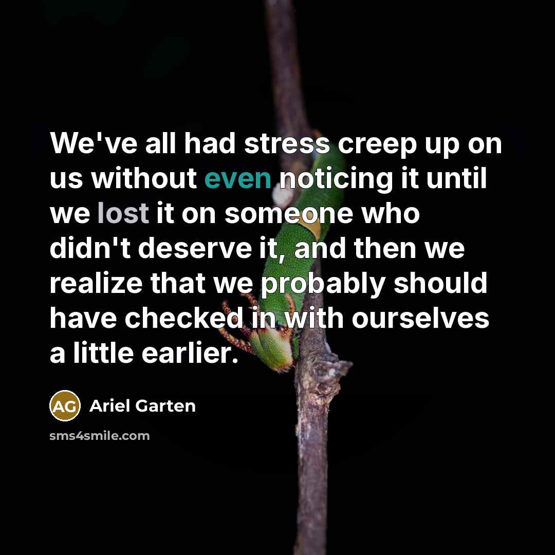 “We've all had stress creep up on us without even…” quote by Ariel Garten