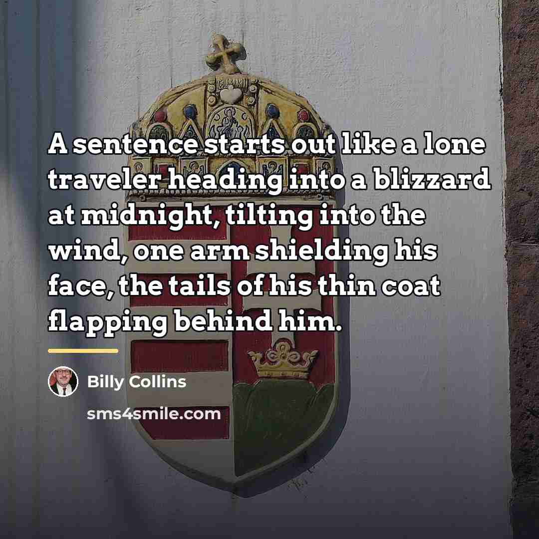 “A sentence starts out like a lone traveler heading into…” quote by Billy Collins