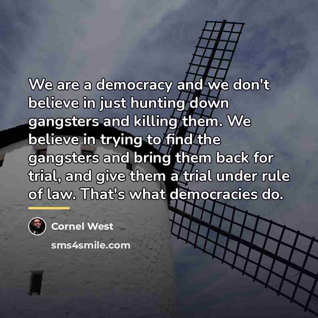 “We are a democracy and we don't believe in just…” quote by Cornel West