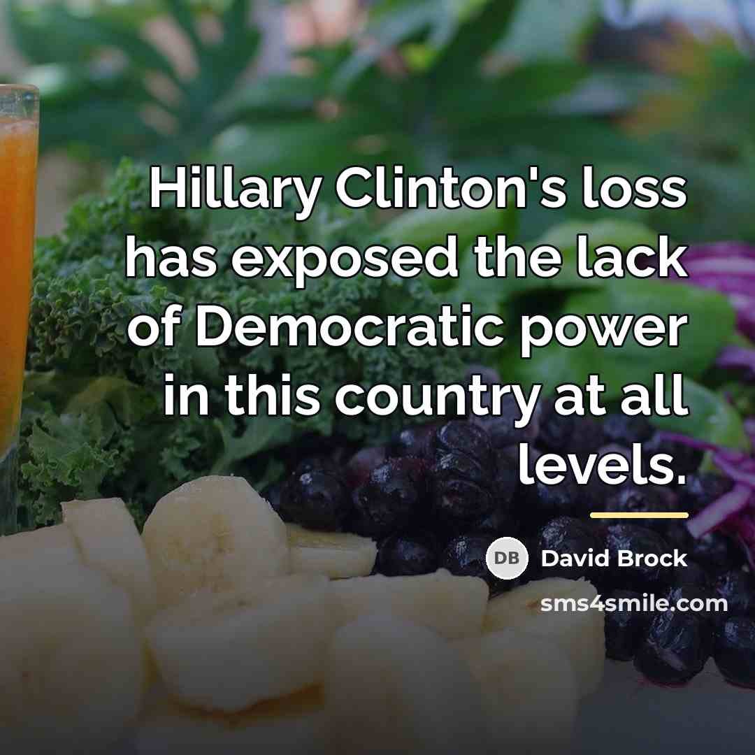 “Hillary Clinton's loss has exposed the lack of Democratic power…” quote by David Brock