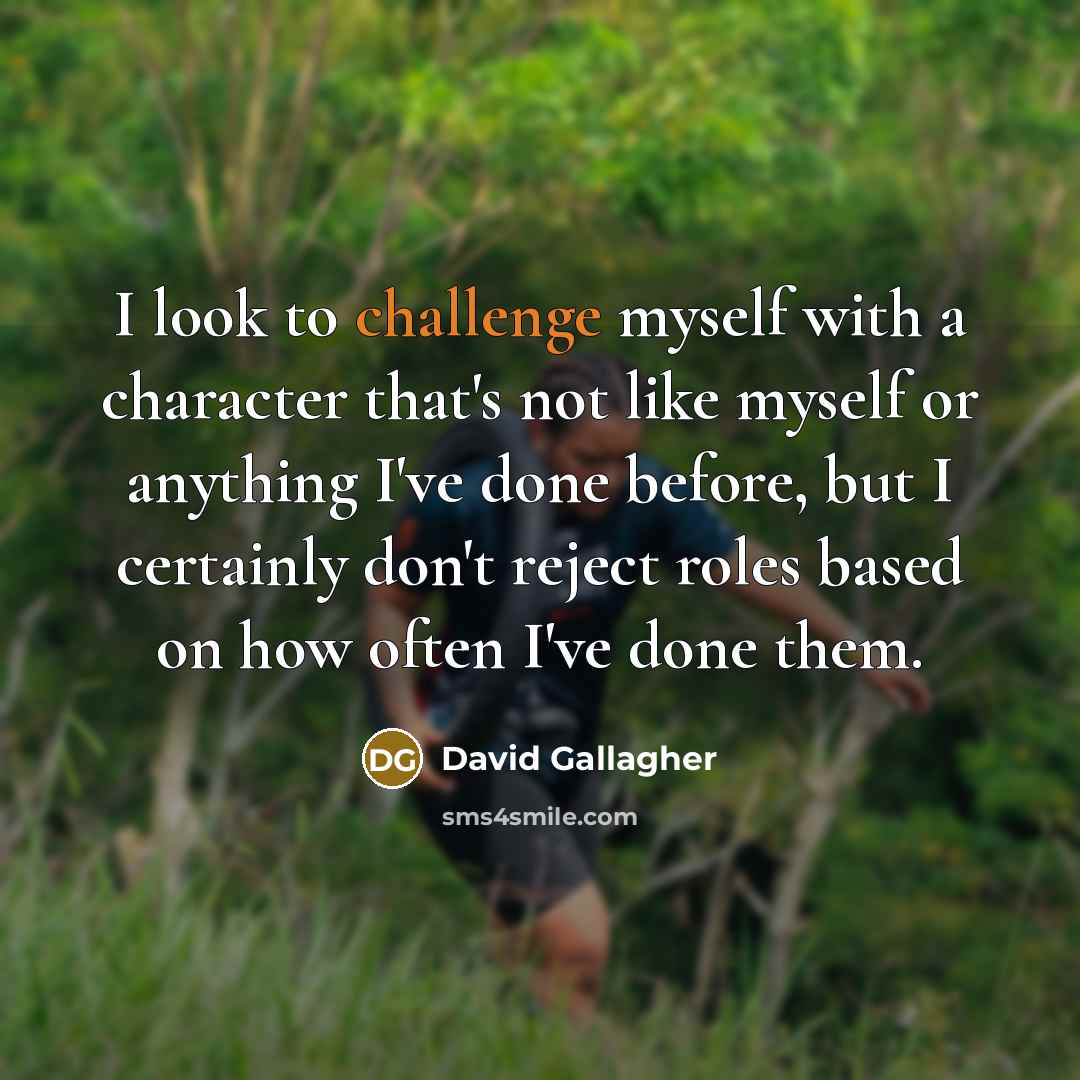 “I look to challenge myself with a character that's not…” quote by David Gallagher