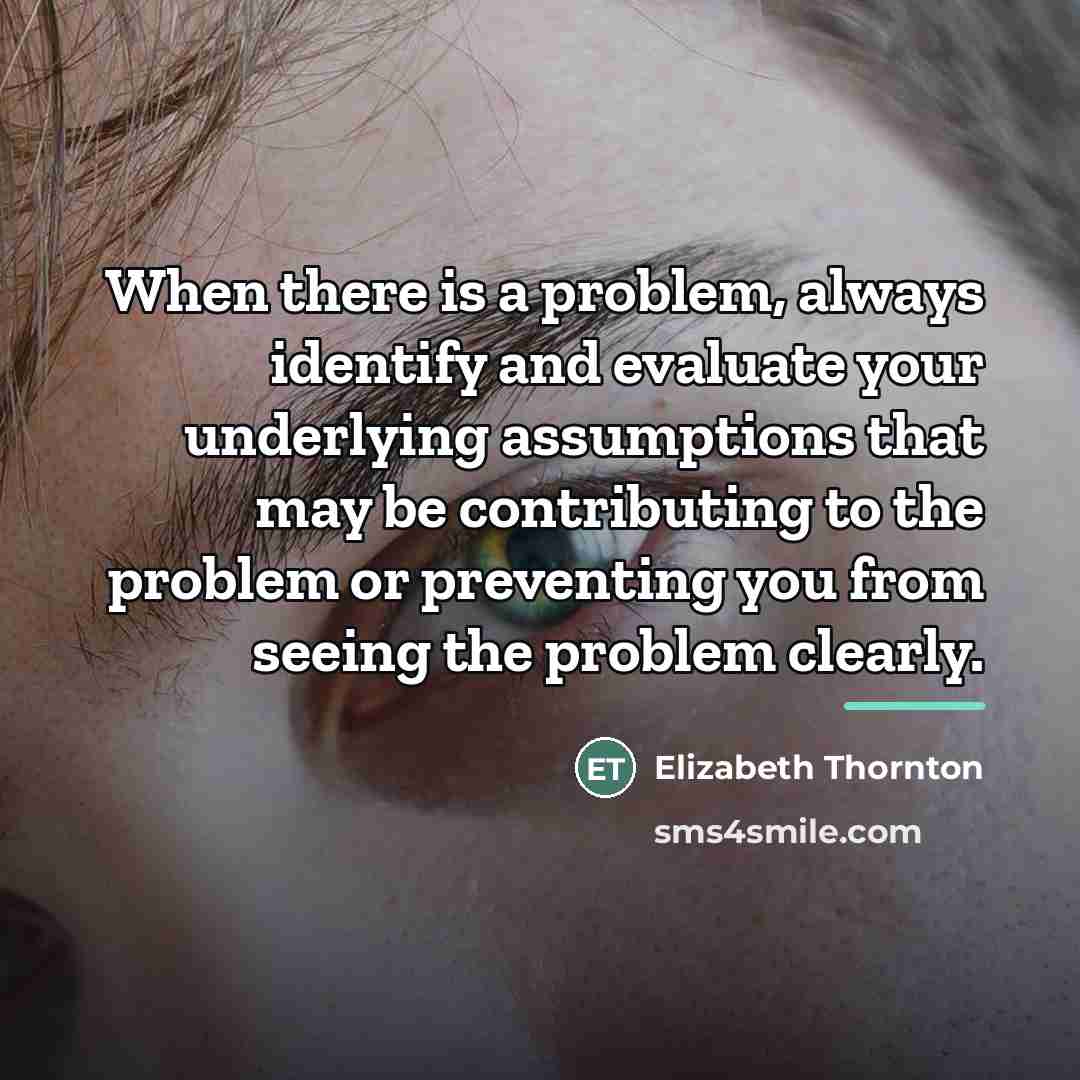 “When there is a problem, always identify and evaluate your…” quote by Elizabeth Thornton