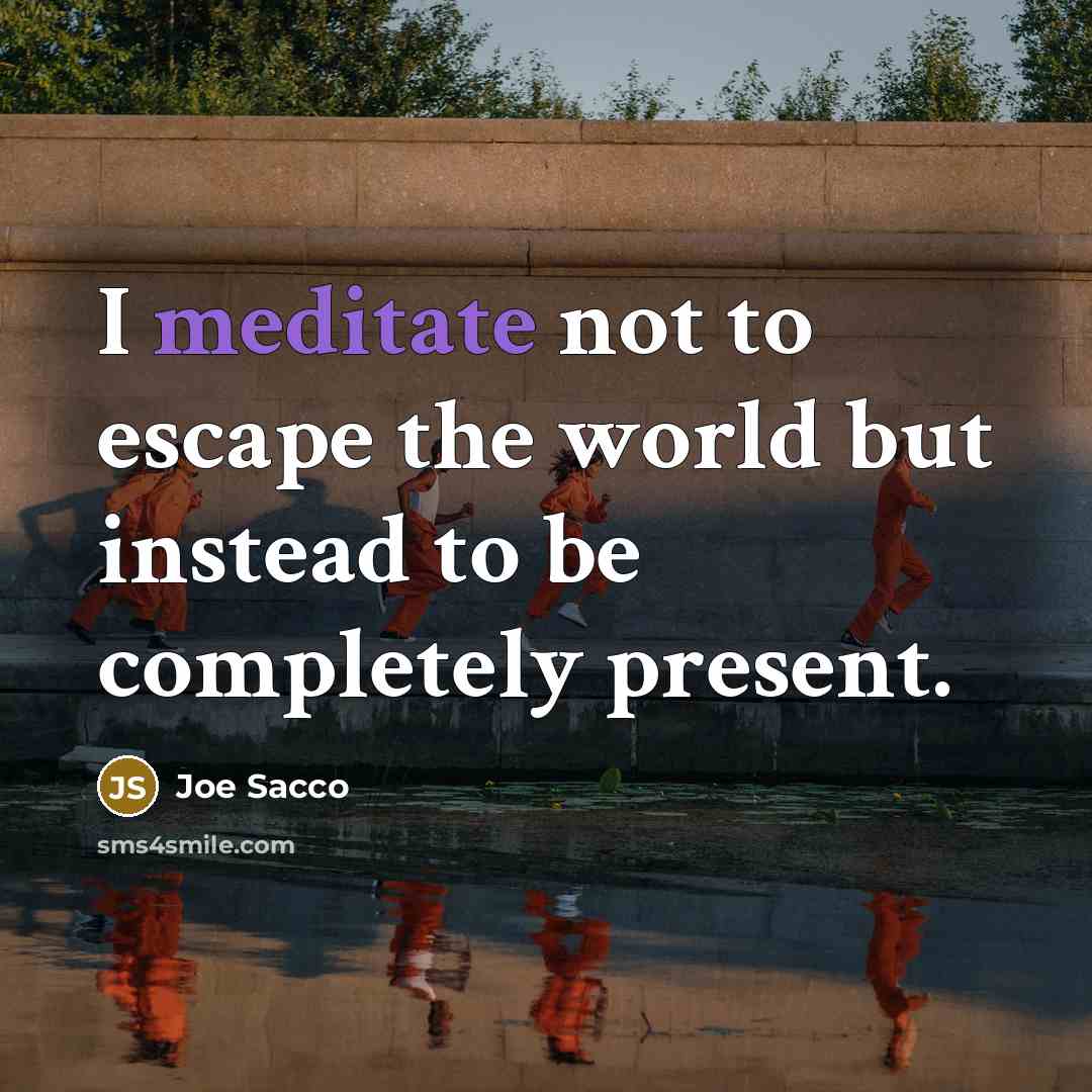“I meditate not to escape the world but instead to…” quote by Joe Sacco