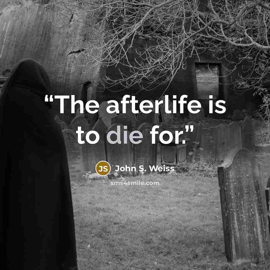 “The afterlife is to die for.” quote by John S. Weiss