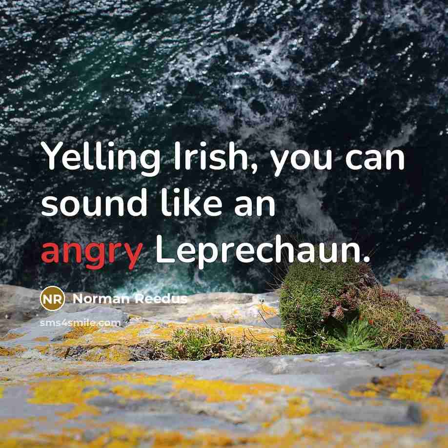“Yelling Irish, you can sound like an angry Leprechaun.…” quote by Norman Reedus