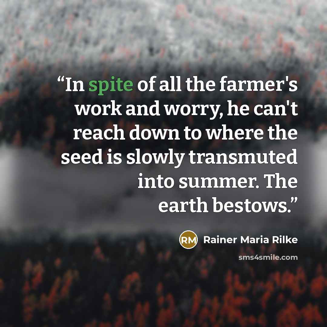 “In spite of all the farmer's work and worry, he can't reach down to where the seed is slowly transmuted into summer. The earth bestows.” quote by Rainer Maria Rilke