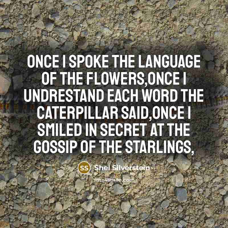 “Once i spoke the language of the flowers,Once i undrestand…” quote by Shel Silverstein