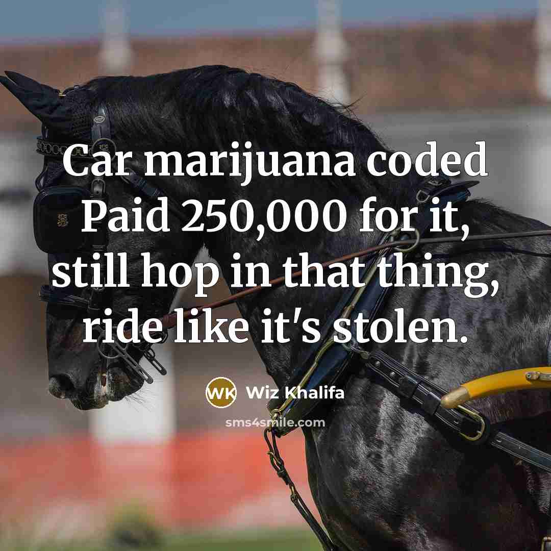 “Car marijuana coded Paid 250,000 for it, still hop in that thing, ride like it's stolen.” quote by Wiz Khalifa