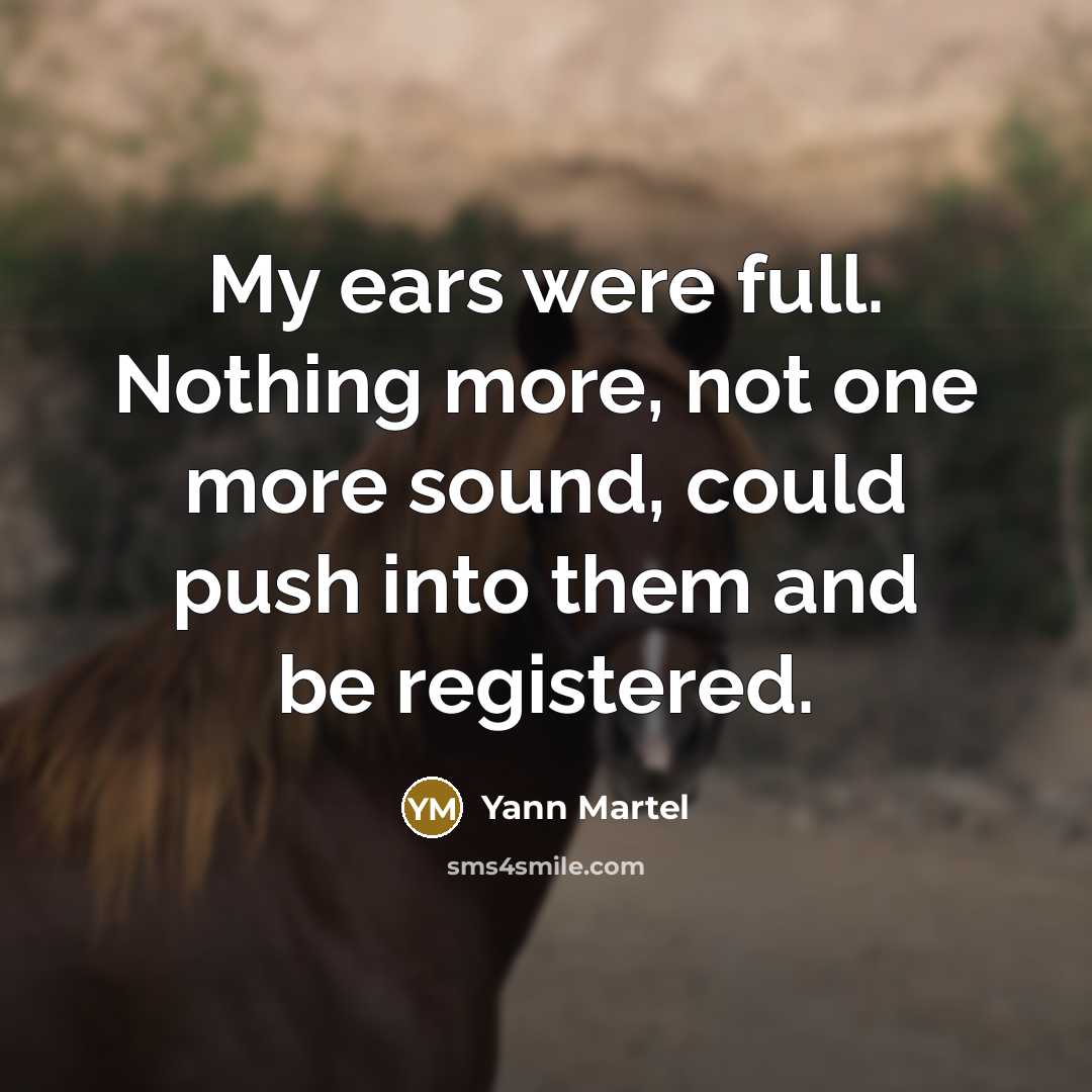 “My ears were full. Nothing more, not one more sound,…” quote by Yann Martel