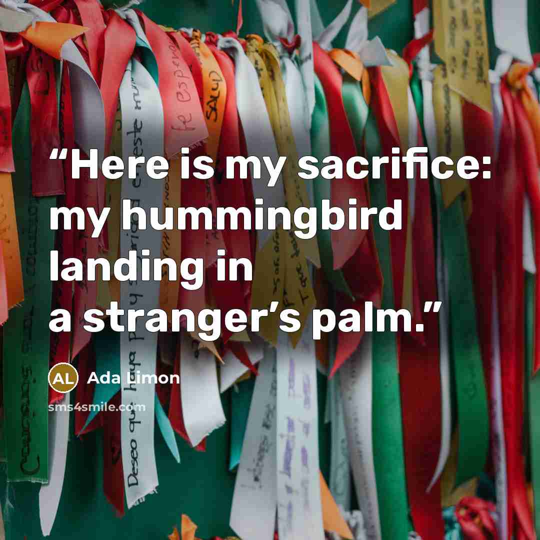 “Here is my sacrifice: my hummingbird landing in a stranger’s palm.” quote by Ada Limon