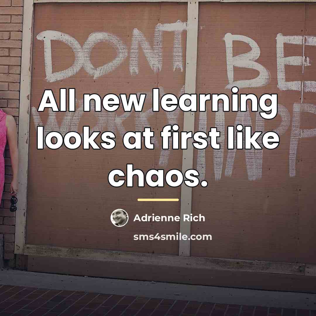 “All new learning looks at first like chaos.…” quote by Adrienne Rich