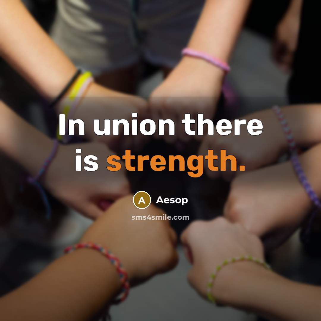 “In union there is strength.…” quote by Aesop