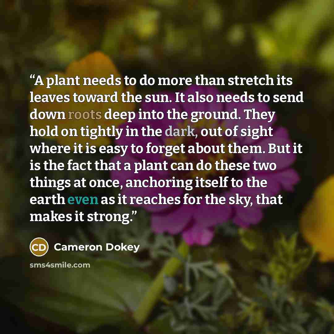 “A plant needs to do more than stretch its leaves toward the sun. It also needs to send down roots deep into the ground. They hold on tightly in the dark, out of sight where it is easy to forget about them. But it is the fact that a plant can do these two things at once, anchoring itself to the…” quote by Cameron Dokey
