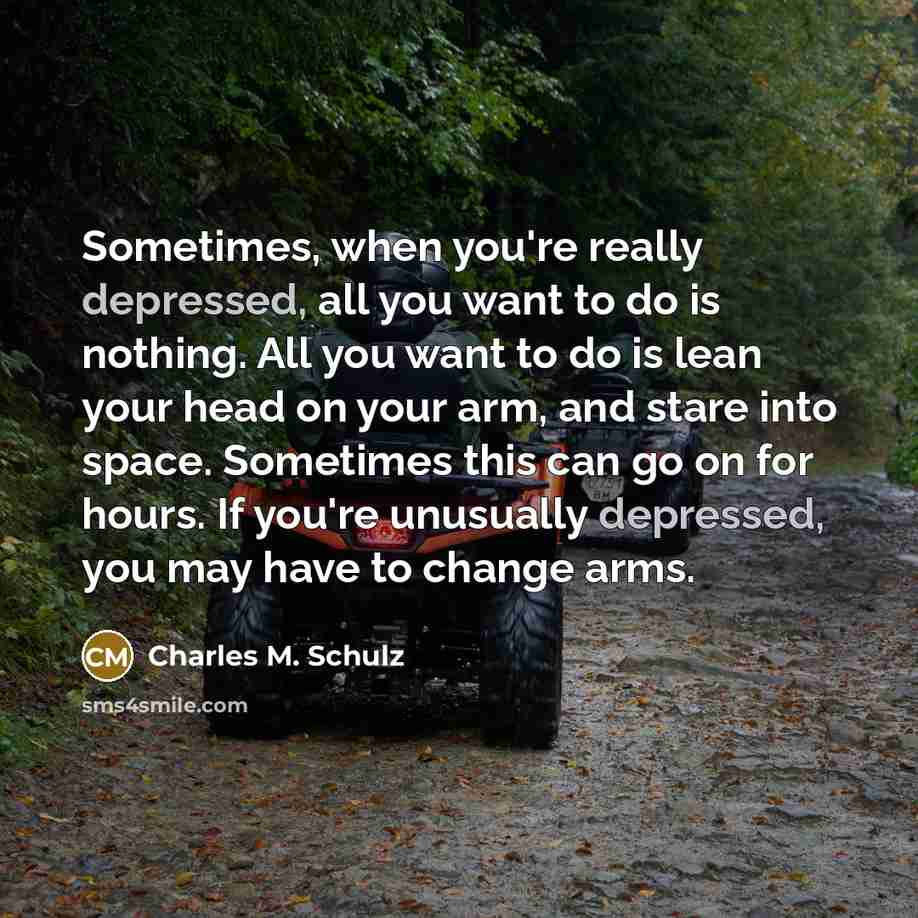 “Sometimes, when you're really depressed, all you want to do…” quote by Charles M. Schulz