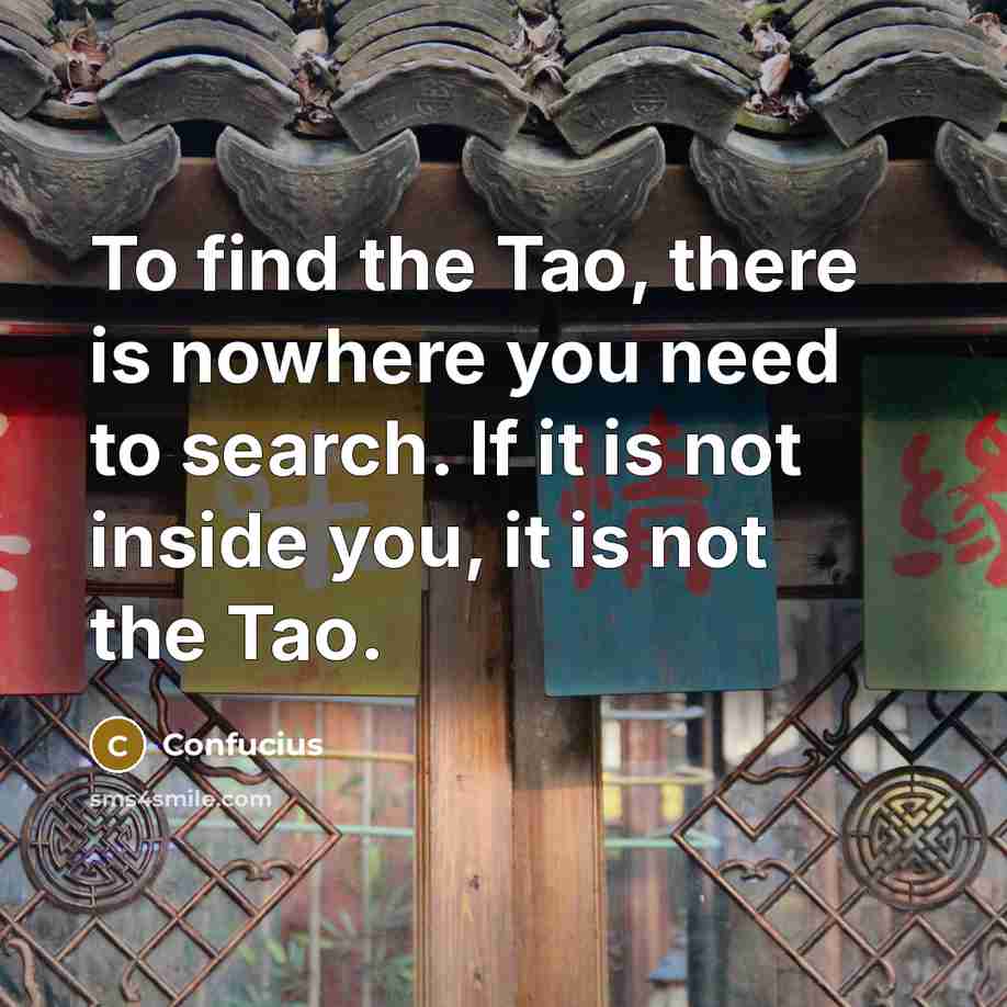 “To find the Tao, there is nowhere you need to search. If it is not inside you, it is not the Tao.” quote by Confucius