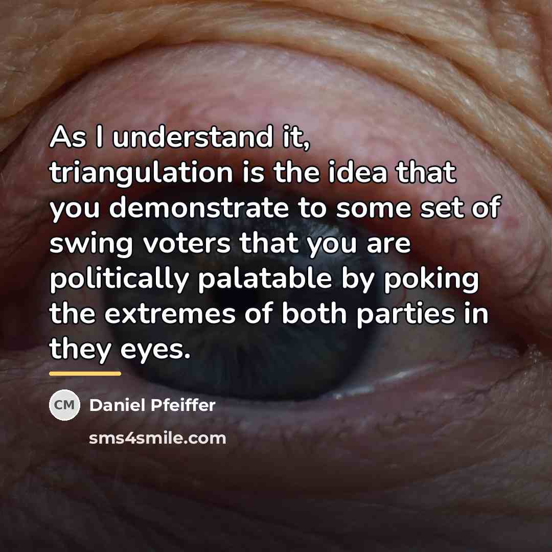 “As I understand it, triangulation is the idea that you…” quote by Daniel Pfeiffer
