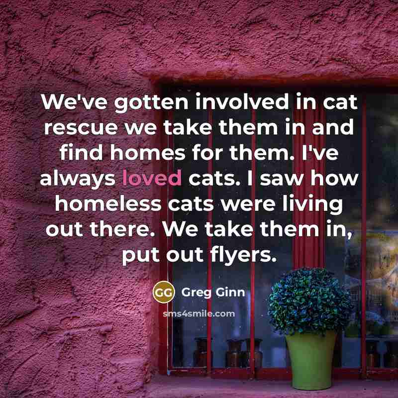 “We've gotten involved in cat rescue we take them in…” quote by Greg Ginn