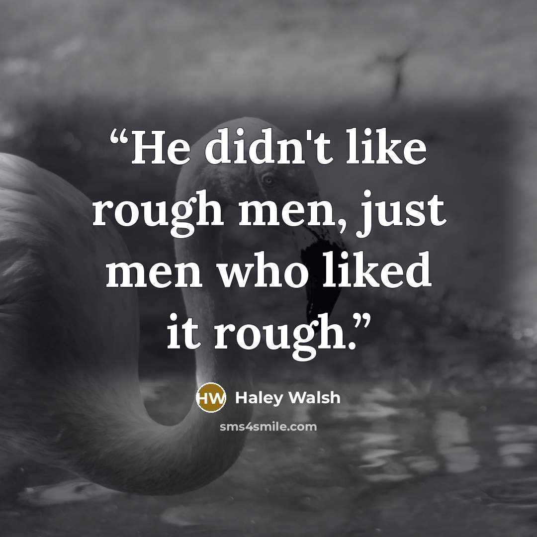 “He didn't like rough men, just men who liked it rough.” quote by Haley Walsh