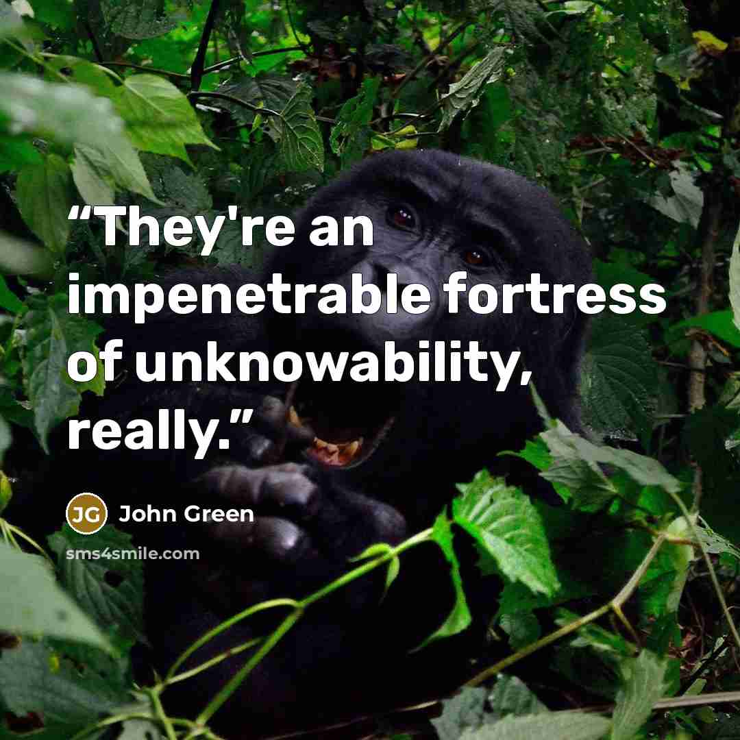 “They're an impenetrable fortress of unknowability, really.” quote by John Green