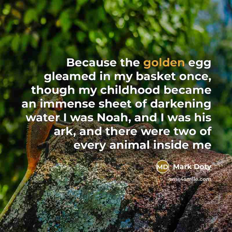 “Because the golden egg gleamed in my basket once, though…” quote by Mark Doty