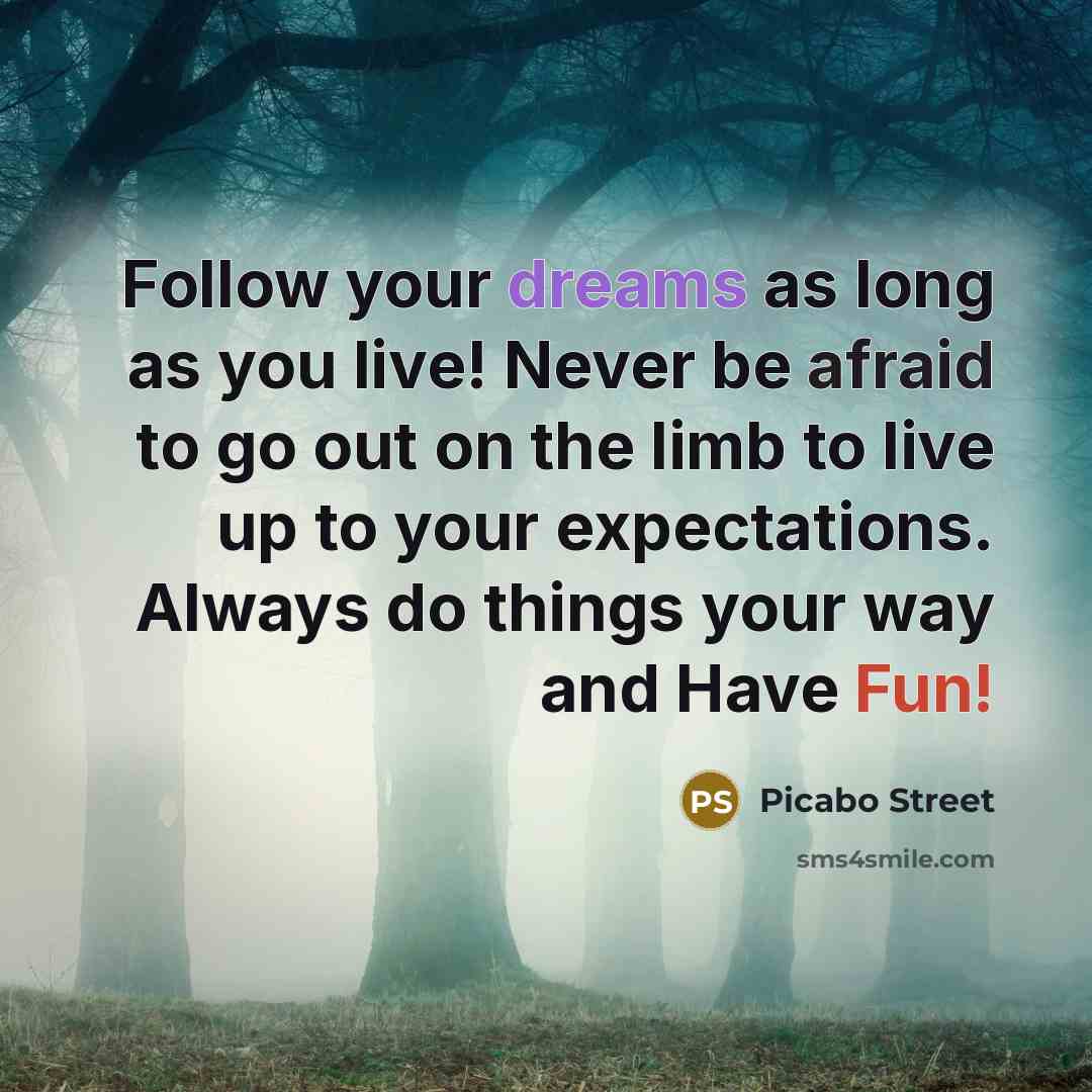 “Follow your dreams as long as you live! Never be…” quote by Picabo Street