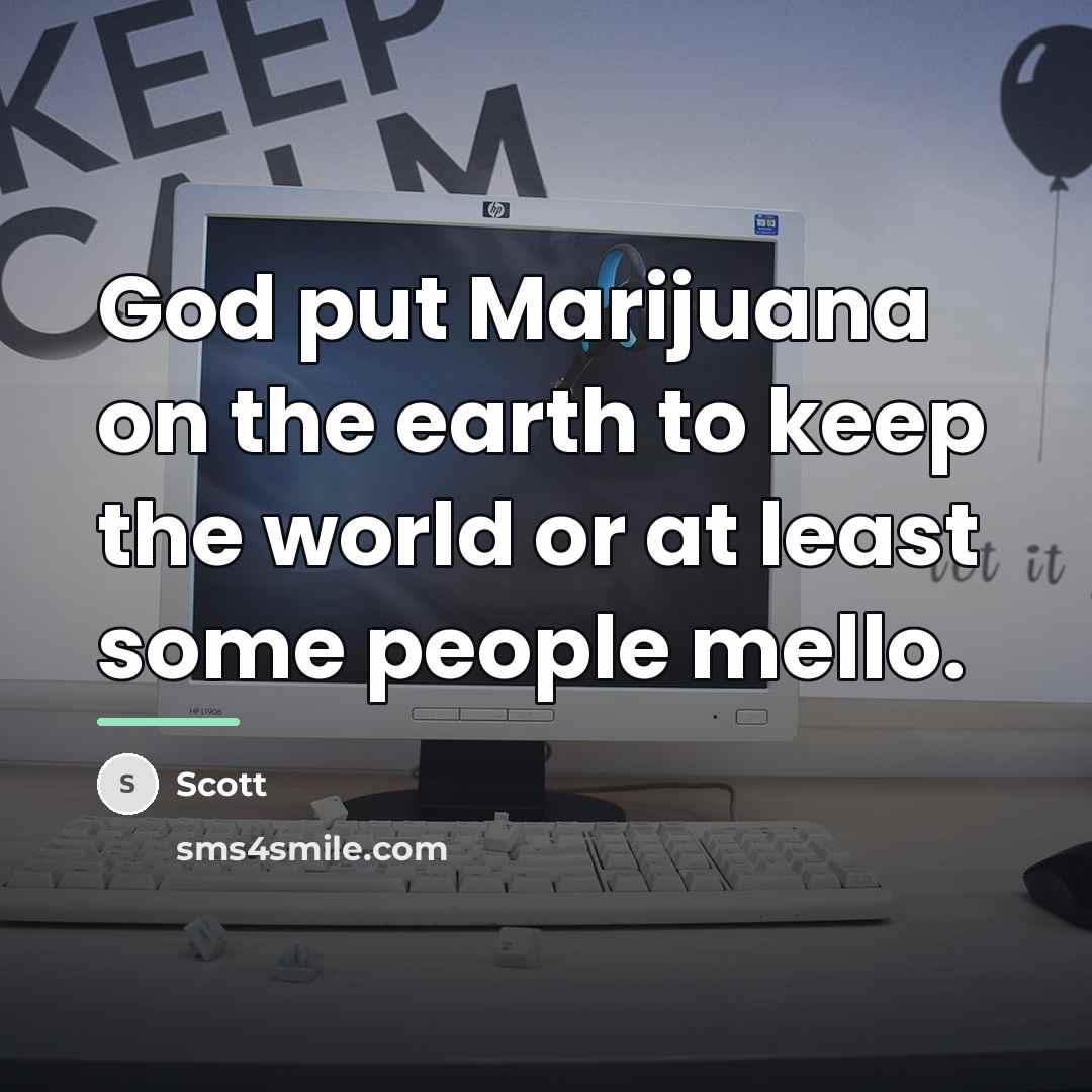 “God put Marijuana on the earth to keep the world…” quote by Scott