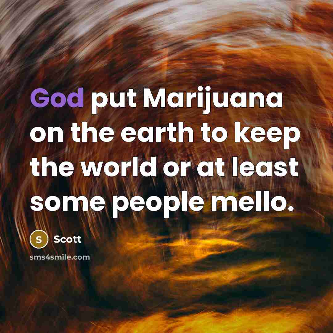 “God put Marijuana on the earth to keep the world or at least some people mello.” quote by Scott
