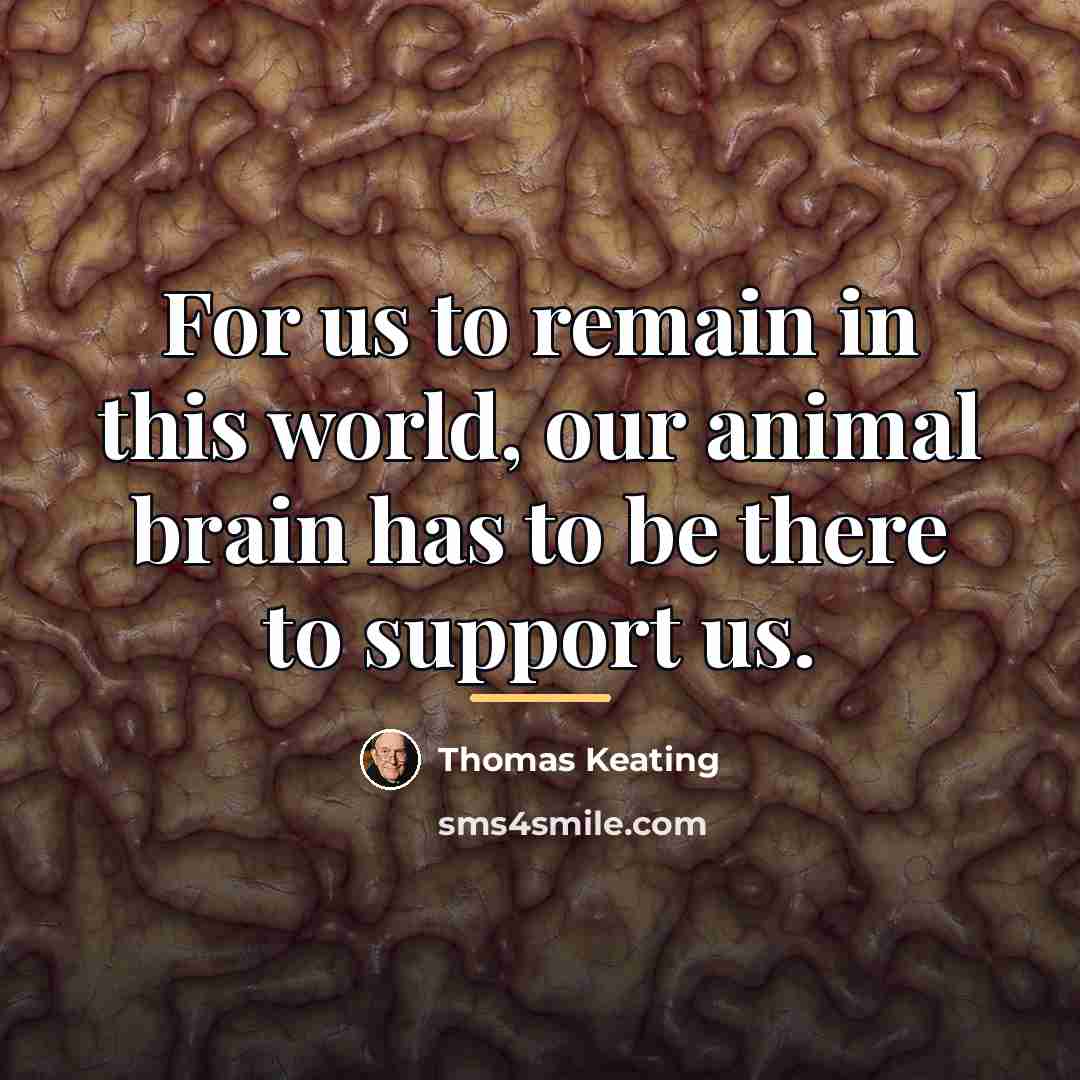 “For us to remain in this world, our animal brain…” quote by Thomas Keating