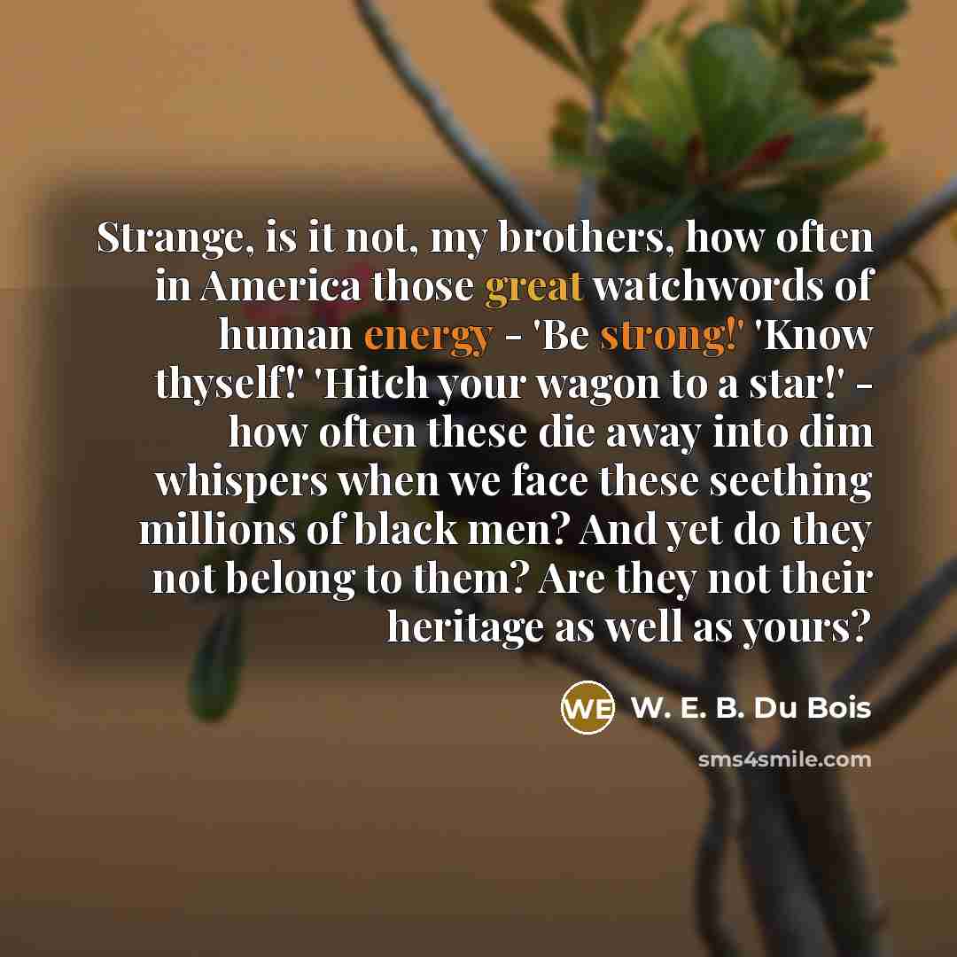 “Strange, is it not, my brothers, how often in America…” quote by W. E. B. Du Bois