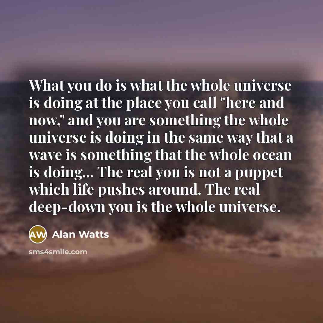 “What you do is what the whole universe is doing…” quote by Alan Watts