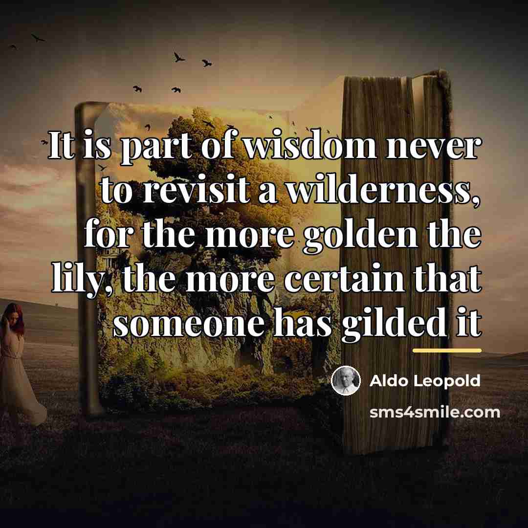 “It is part of wisdom never to revisit a wilderness,…” quote by Aldo Leopold