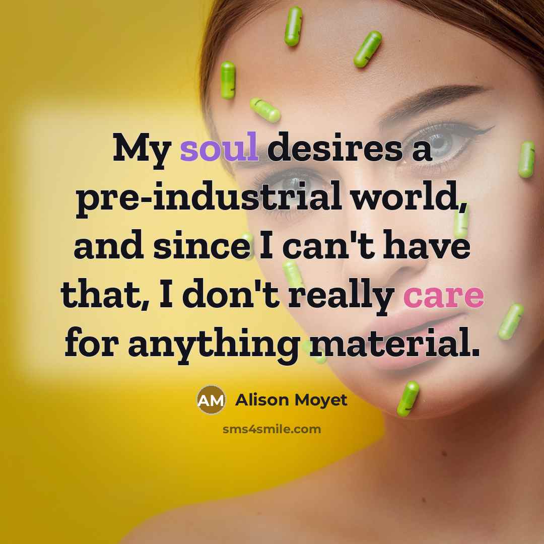 “My soul desires a pre-industrial world, and since I can't…” quote by Alison Moyet