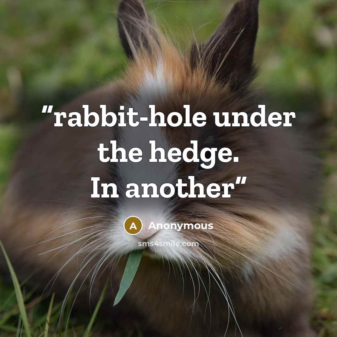 “rabbit-hole under the hedge. In another” quote by Anonymous