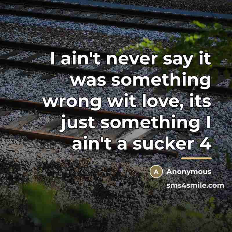 “I ain't never say it was something wrong wit love,…” quote by Anonymous