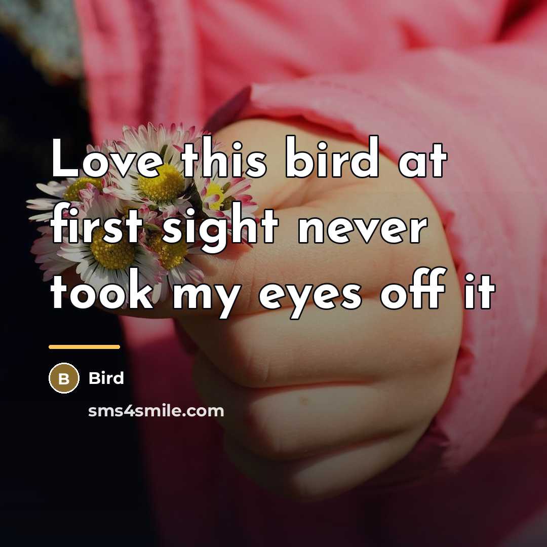 “Love this bird at first sight never took my eyes…” quote by Bird