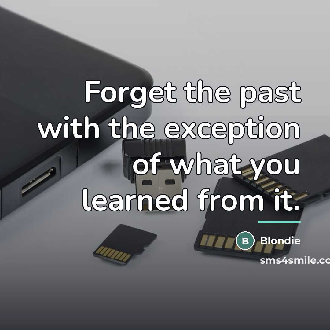 “Forget the past with the exception of what you learned…” quote by Blondie