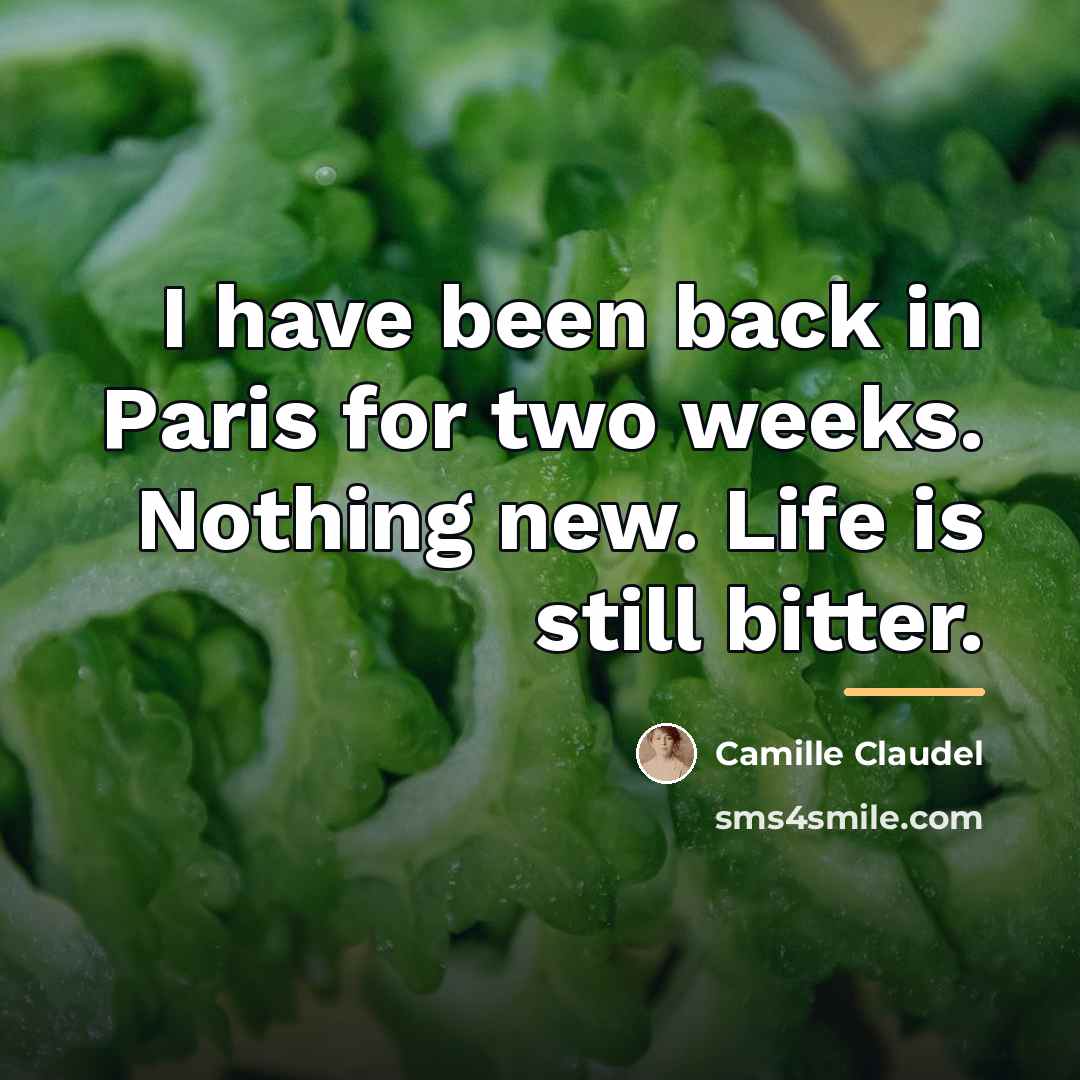 “I have been back in Paris for two weeks. Nothing…” quote by Camille Claudel