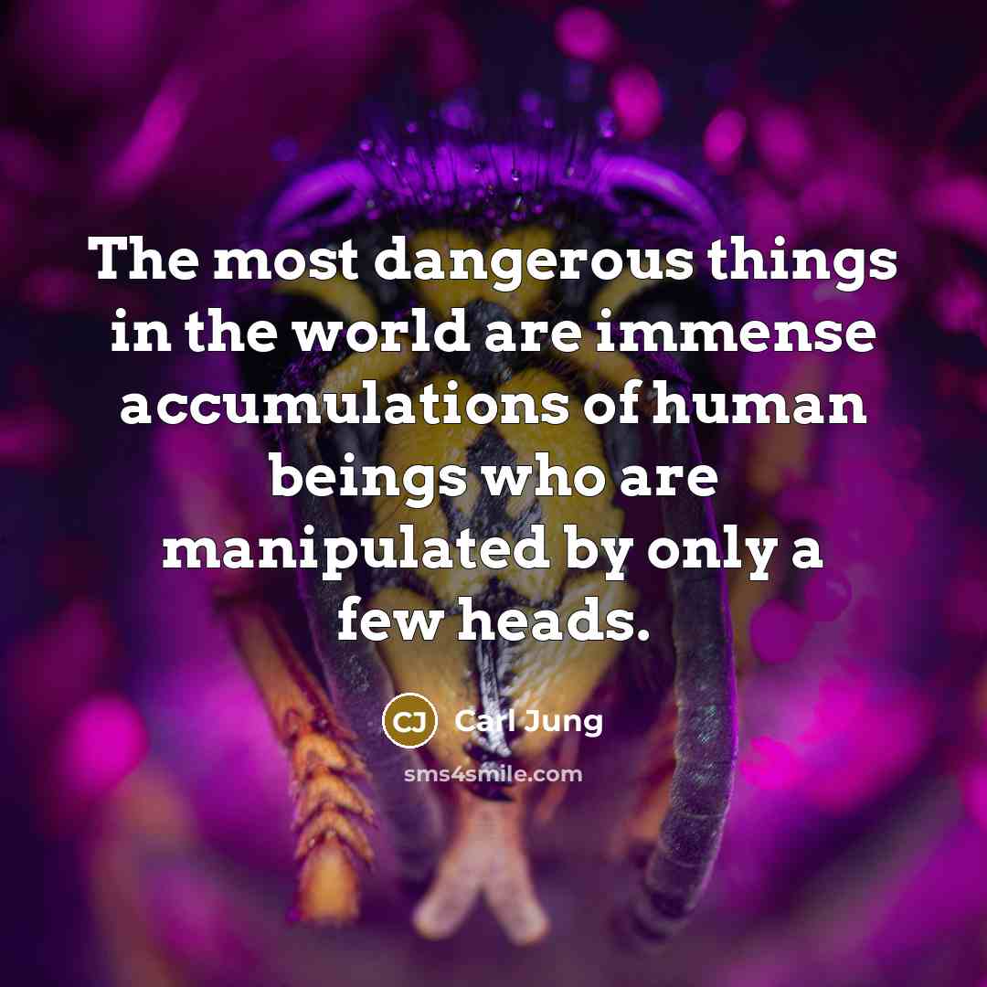 “The most dangerous things in the world are immense accumulations…” quote by Carl Jung